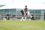 SBM_17227