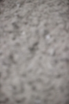 SBM_002973