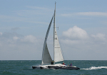 120630 MAD HATTER DEN96M  WT7A2199