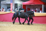 SBM_04200