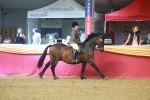 SBM_10538
