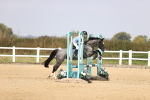 SBM_001953