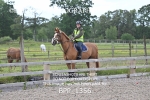 BPP_1356