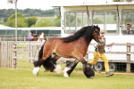 SBM_06014