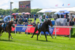 140526-Race 1-Persian Spring-4363