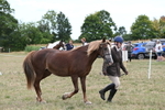 WJ6_6159