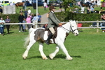 SBM_47015