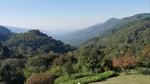 Magoebaskloof, Limpopo Province, Sth Africa