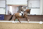 SBM_019573
