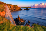 Cat Rock Newport 1 Pembrokeshire
