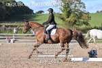 BPP_9247