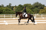 SBM_005700