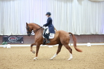 SBM_007765