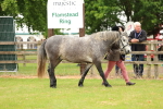 SBM_04088