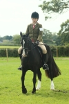 S58 - Mini Show Cob Ridden portfolio