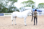 SBM_05761