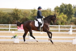 SBM_016886