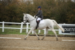 SBM_001531