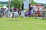 SBM_13981