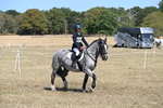 WJ6_9189