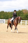 SBM_011884