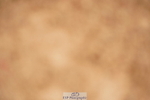 240526A-114150-07870