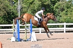 Saturday Wessex (Horses) Arena portfolio
