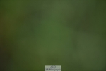 240523B-113102-01991
