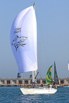 190629 EL TIBURON GBR8147T 1Y3A9422