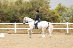 SBM_002804