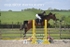 BPP_4796