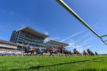 Race 3 3.10pm John Smith's Cup Handicap portfolio
