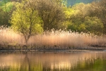 Springtime on the water.