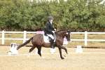 SBM_002654