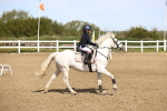 SBM_000701