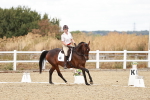 SBM_009944