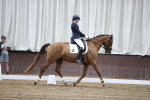 SBM_000210