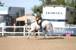 SBM_17532