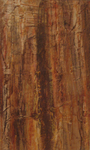 Bark study 2 (1999)