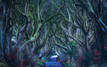 Dark Hedges, Northern Ireland.