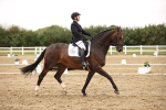SBM_006909