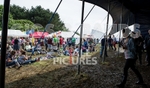 Guernsey Festival_Scene 2012-72