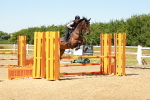 SBM_006584