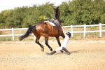SBM_001146