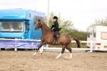 SBM_04593