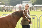 SBM_00478