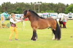 SBM_06317