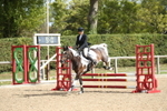 Unaffiliated Show Jumping portfolio