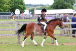 SBM_08548