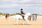 SBM_15455